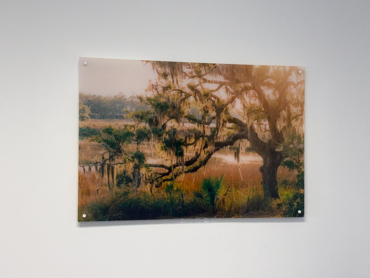 Custom Acrylic Photo Print | Personalized Wall Art | Clear Acrylic Picture Print | Modern Photo Decor