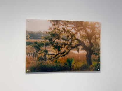 Custom Acrylic Photo Print | Personalized Wall Art | Clear Acrylic Picture Print | Modern Photo Decor